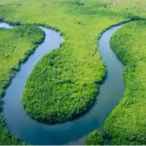 Amazon Rainforest, South America
